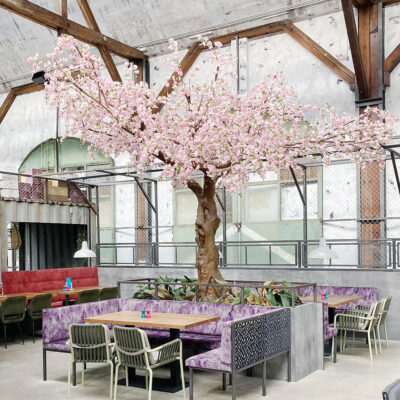 Naturmomente – Wähle vor Ort dein Wunschmotiv-<br> 🗓 29. April 🕑 18:00 – 20:00 Uhr <br>📍Purino Freiburg